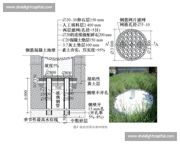 奥运会申办全景解析及对城市发展影响的深度研究
