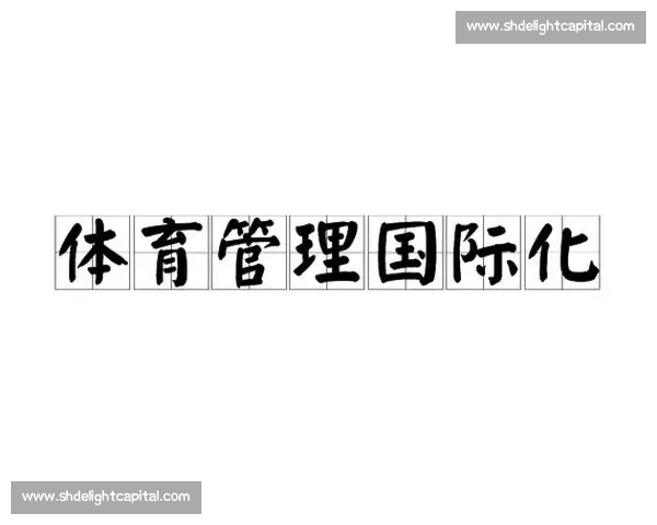 提升体育组织运作效率的策略与管理模式研究