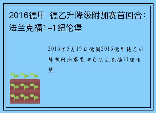2016德甲_德乙升降级附加赛首回合：法兰克福1-1纽伦堡