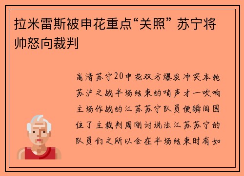 拉米雷斯被申花重点“关照” 苏宁将帅怒向裁判